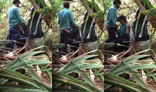 Desi College Girl Gives Public Blowjob in the Park