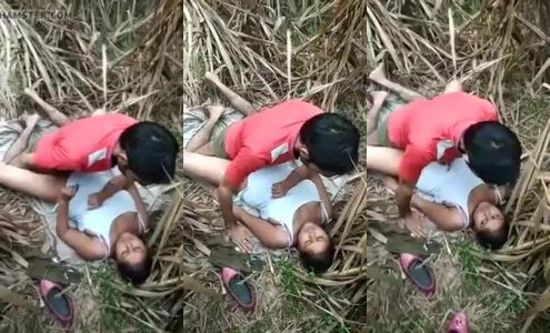 Dehati Girl Outdoor Sex In Fields MMS
