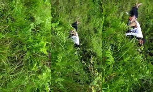 Desi Girlfriend Fucked Hard by Boyfriend in Khet Sex Video