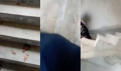 Desi College Girl Gets Her Tight Pussy Fucked Hard Doggy Style