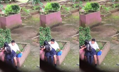 Desi College Girl Enjoys Public Cock Ride Ride in the Park