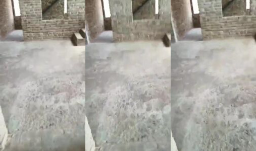 Desi Couple Fucking Red-Handed and Caught on Phone Camera