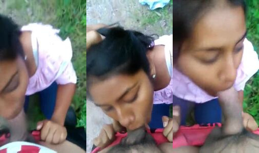 Desi Step Sister Gives Elder Brother Outdoor Blowjob