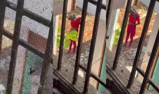 Desi Teen Girl Pissing Outdoors Pantyless Hidden Cam Video