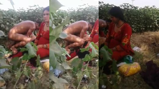 Outdoor Jungle Fucking Horny Indian Family Sex Scandal Video