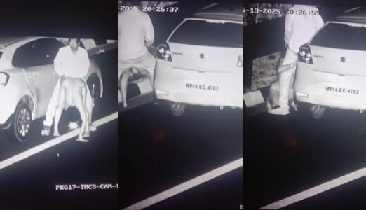 Madhya Pradesh Couple Highway Public Sex Nighttime Caught on CCTV