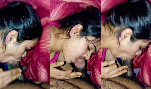 Stepsister Gives a Secret Blowjob Under The Bedsheet