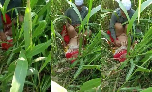 Village Bhabhi Kusum Gets Her Wet Pussy Fucked Hard In The Field