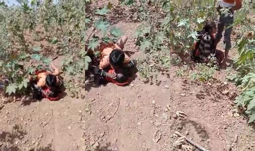 Village Bhabhi Ki Desi Outdoor Sex In The Fields Video