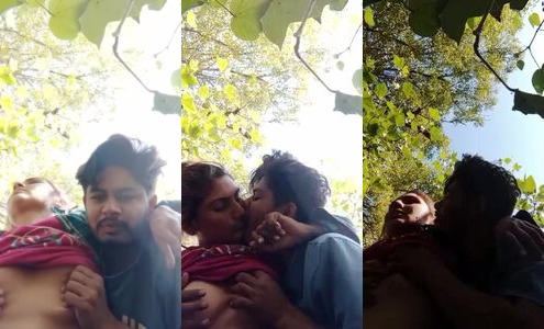 Village Boyfriend Squeezes His GF's Boobs Hard in Outdoor Sex Video