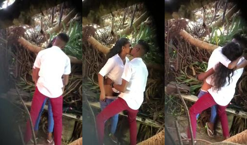 Village College Girl Outdoor Sex with Boyfriend in Eco Park Porn Video