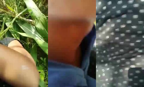Village Girl Aarti Fucked Hard By Boyfriend's Big Lund In The Fields